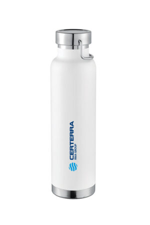 22oz Insulated Bottle