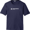 true-navy